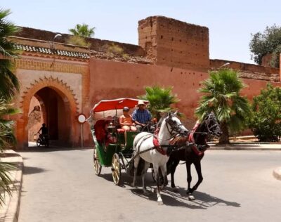 From Agadir: Guided Day Trip to Marrakech - Your Marrakech Walking Tour: Bahia Palace and the Koutoubia Gardens