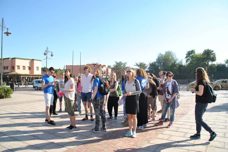 From Agadir: Guided Day Trip to Marrakech - Price and Value: Is $53 a smart deal or just a long day?