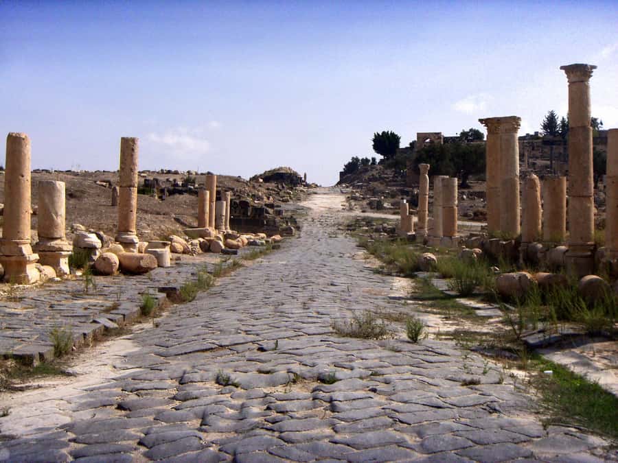 From Amman: Jerash, Ajloun Castle or Umm Qais Private Tour - Key highlights that make this tour work