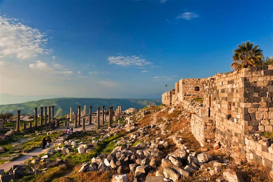 From Amman: Jerash, Ajloun Castle or Umm Qais Private Tour - Should you book this private Northern Jordan tour?