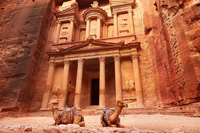 From Amman: Petra and Wadi rum Full day Tour - Which Travelers Should Book This (and Who Should Consider Alternatives)