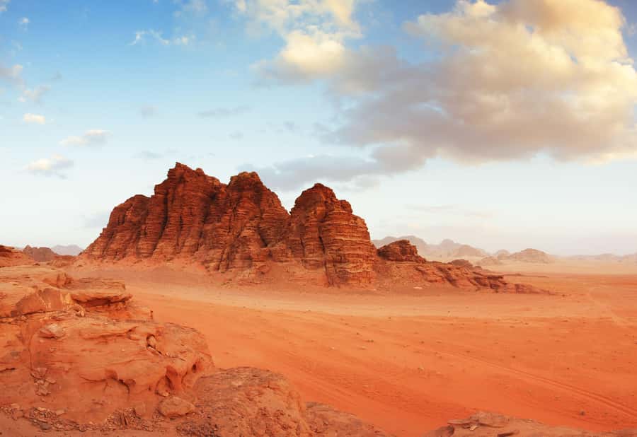 From Amman: Petra & Wadi Rum Private or group Day Tour - Quick hits worth knowing