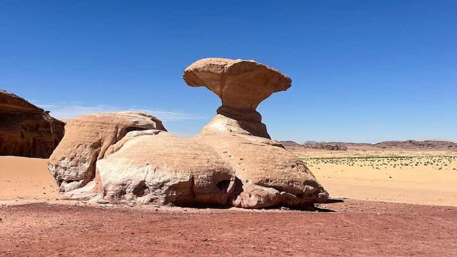From Amman: Petra & Wadi Rum Private or group Day Tour - Timing, Tickets, and Money: How to Avoid Day-Trip Friction