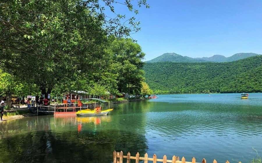 From Baku: Gabala and Shamakhi Tour (Free Baku City Tour) - Lunch at a local restaurant: plan your appetite, not just your schedule