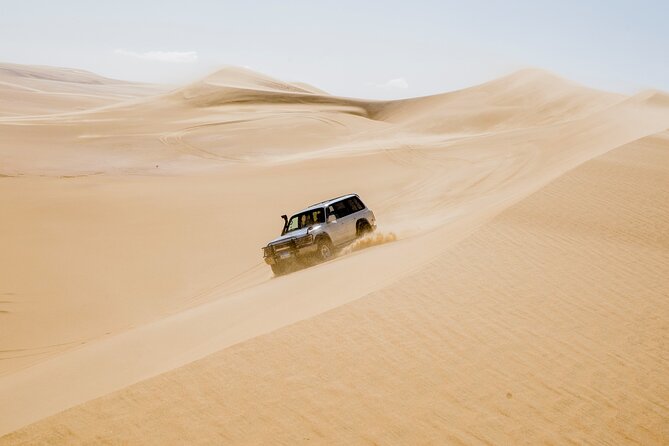 From Cairo 4x4 Safari, Camel Ride, Magic Lake, Waterfalls & Lunch - Key highlights to look forward to