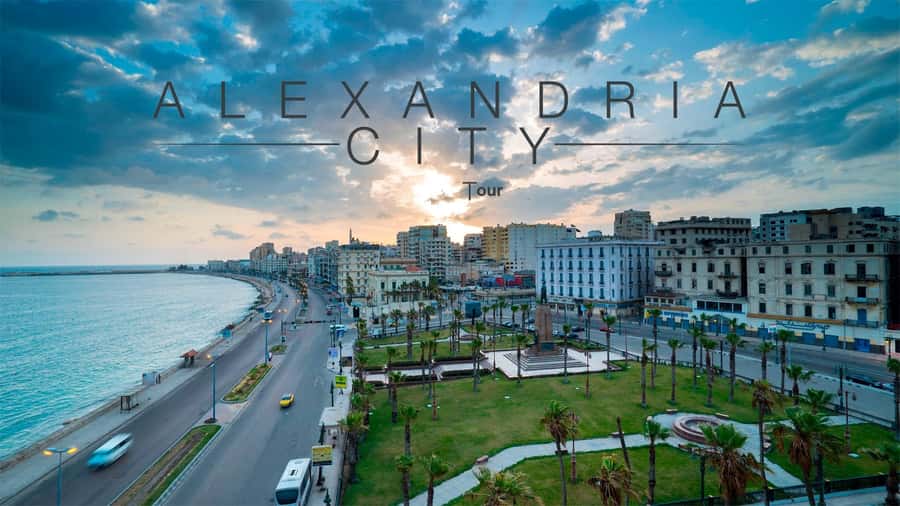 From Cairo: Alexandria Day Tour with Lunch - Kom El-Deka and Serapeum stops: Roman Alexandria without the rush-feeling