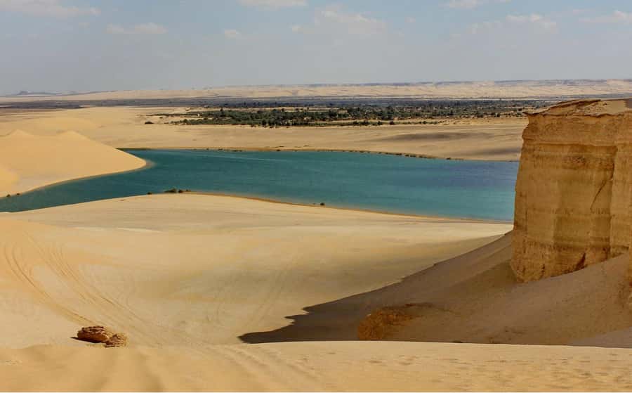 From Cairo: Full-Day Tour to El Fayoum - Key things to know before you go