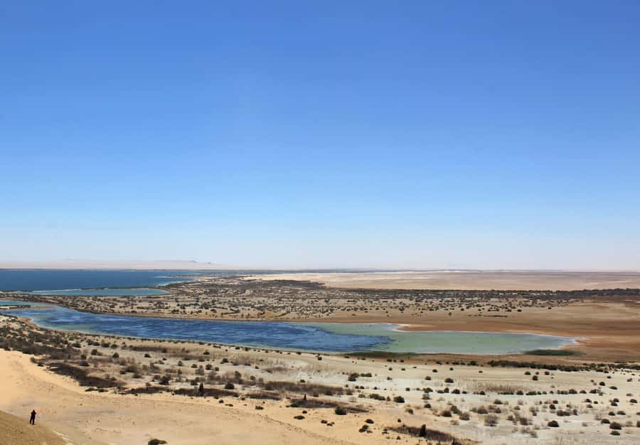 From Cairo: Full-Day Tour to El Fayoum - Wadi el-Rayan Waterfalls: the big drop in a harsh place