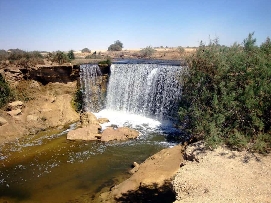 From Cairo: Full-Day Tour to El Fayoum - Hotel pickup at 7:00 and the drive into the Western Desert