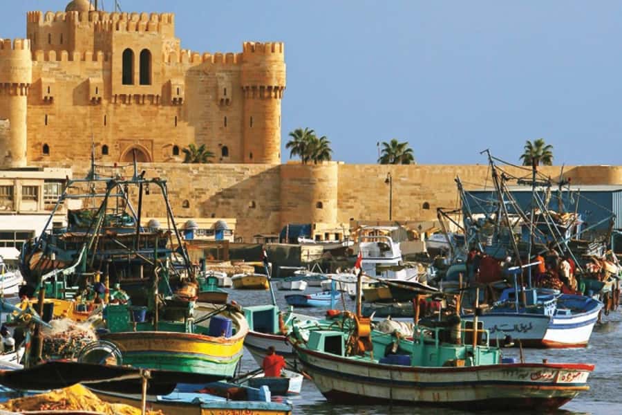 From Cairo: Private Full-Day Tour of Historical Alexandria - Cairo to Alexandria: the 220 km drive and 10-hour timebox