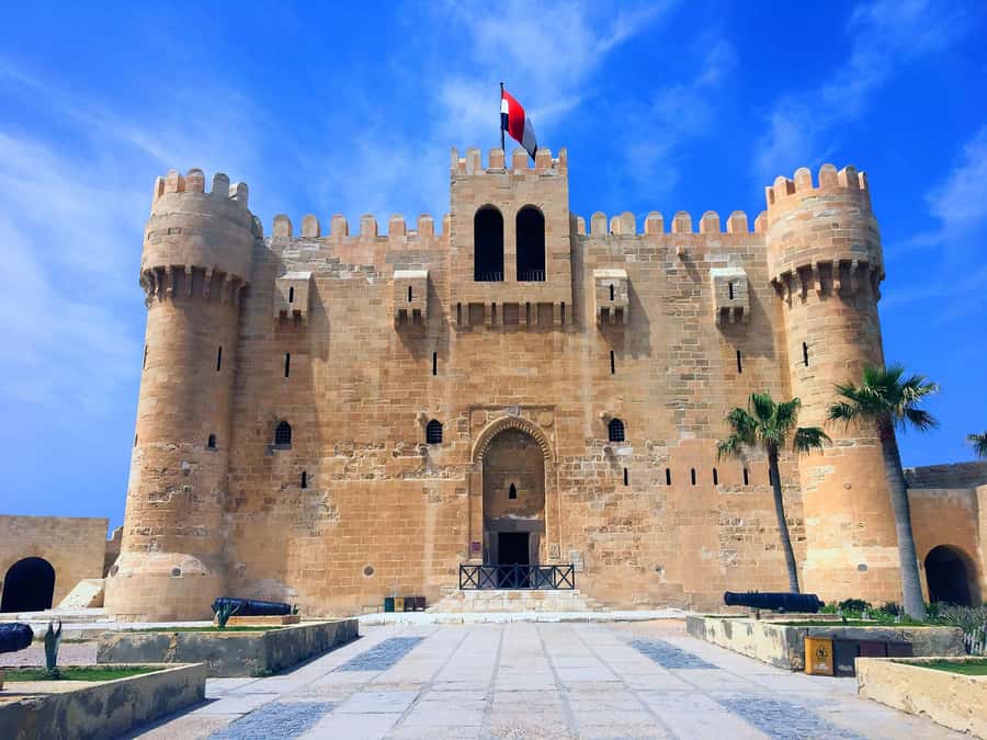 From Cairo: Private Full-Day Tour of Historical Alexandria - Should you book Emo Tours Egypt’s Alexandria day trip?