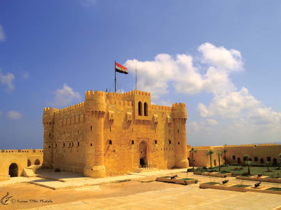 From Cairo: Private Full-Day Tour of Historical Alexandria - Qaitbay Citadel ramparts: 15th-century walls with real sea-air rewards