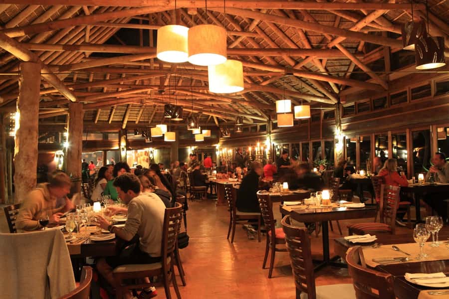 From Cape Town: 2-Day Safari at Garden Route Game Lodge - Dinner and stargazing: the part of safari people forget to plan for