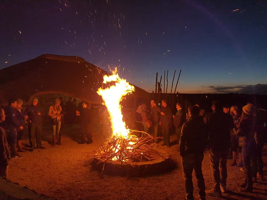 From Cape Town: 2-Day Safari at Garden Route Game Lodge - Who this safari fits best (and who should consider another option)