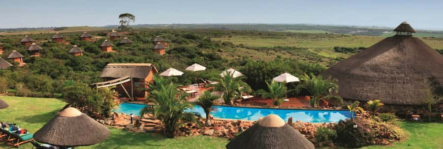 From Cape Town: 2-Day Safari at Garden Route Game Lodge - Garden Route Game Lodge: 4-star comfort that makes the safari easier