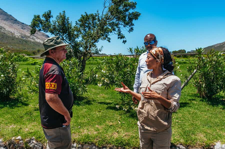 From Cape Town: Cape Peninsula & Boulders Penguin Beach Tour - Noordhoek Farm Village coffee break: a needed reset