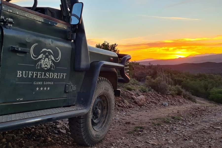 From Cape Town: South African Wildlife and Safari 2-Day Tour - Botlierskop 4x4 safari: how spotting works (and what to expect)
