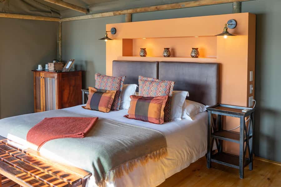 From Cape Town: South African Wildlife and Safari 2-Day Tour - Your one-night stay: choosing Uthando, 88 Baron van Reede, Buffelsdrift, or Mooiplaas