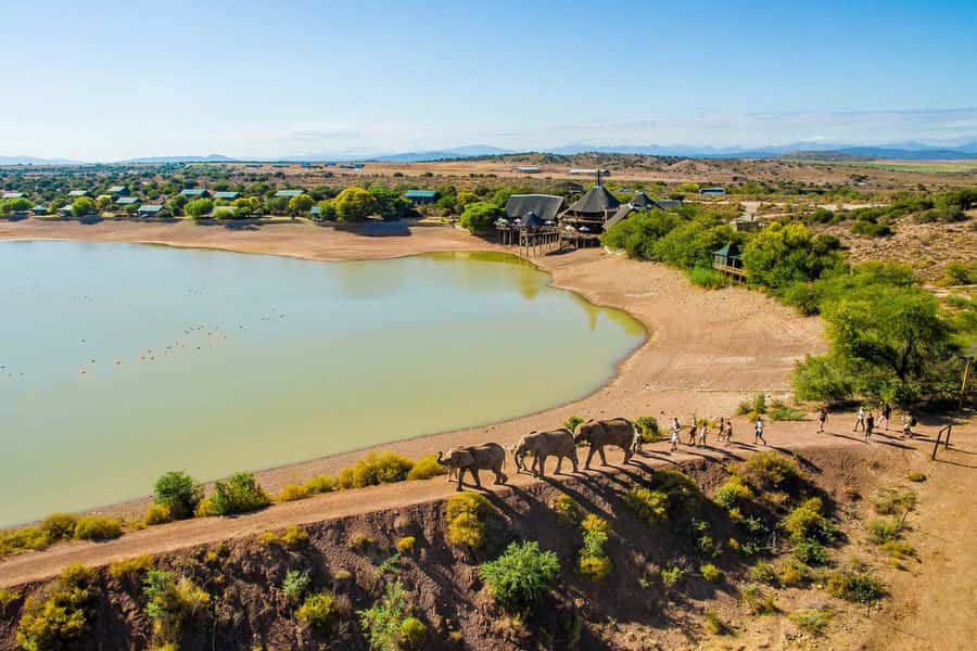 From Cape Town: South African Wildlife and Safari 2-Day Tour - Route 62 back to Cape Town or Stellenbosch: a long finish with style