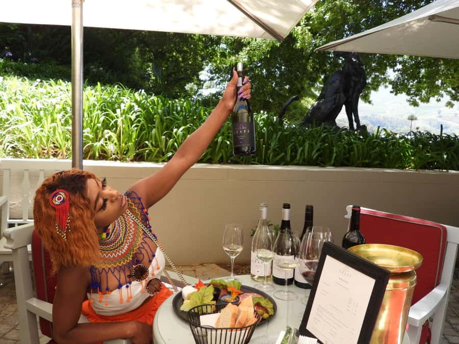 From Cape Town: Stellenbosch & Franschhoek Wine Tasting Tour - Delheim Estate and the Optional Gourmet Lunch With Wine Pairing