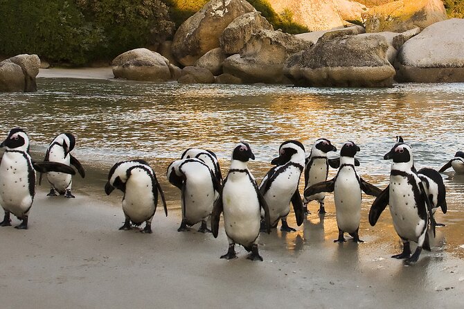 From Cape Town: Table Mountain, Cape of Good Hope & Penguins including Park Fees - Noordhoek Farm Village: Optional Views and a Coffee Detour