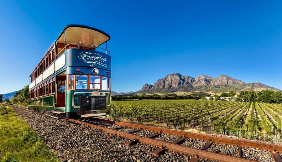 From Cape Town: Winelands Full Day Tour and Wine Tasting - Key things that make this Winelands day tour worth it