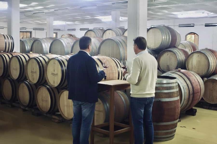 From Cape Town: Winelands Full Day Tour and Wine Tasting - Who this tour suits best