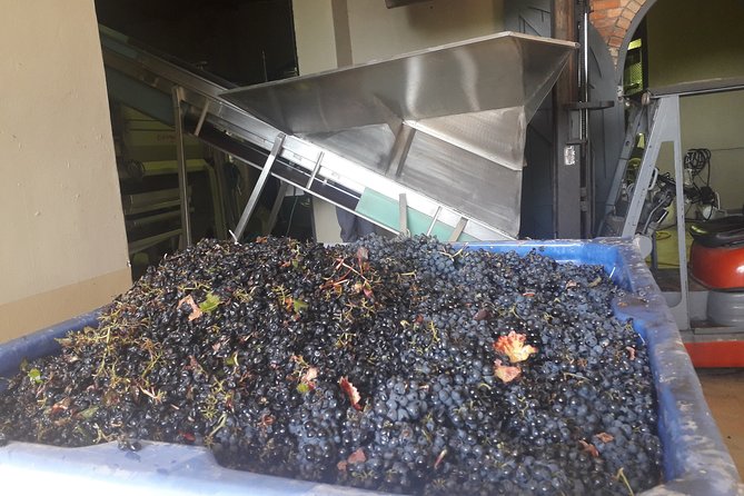 From CapeTown: Stellenbosch Half Day Wine Tour - Getting from Cape Town without navigation stress