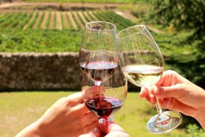 From CapeTown: Stellenbosch Half Day Wine Tour - Price and timing: what you’re paying for in real life