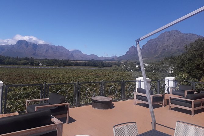 From CapeTown: Stellenbosch Half Day Wine Tour - Stop 1 in Suider Paarl: wine, cheese, and a tasting room built for social sipping