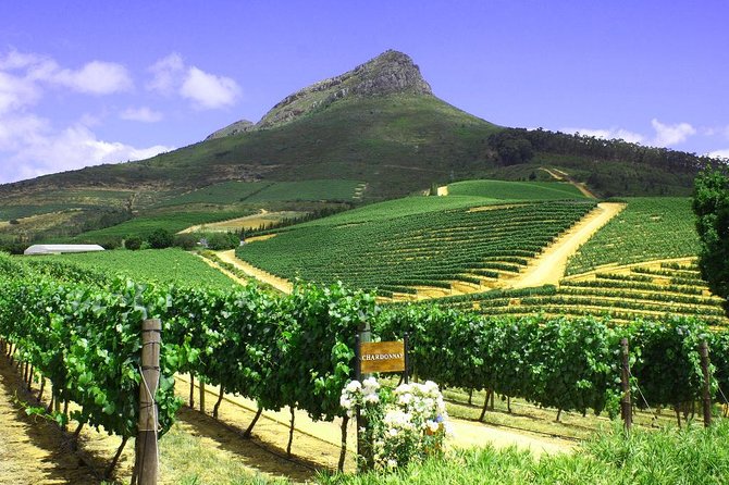 From CapeTown: Stellenbosch Half Day Wine Tour - Stop 2 near Stellenbosch: biltong-and-wine pairing with a modern winemaking story