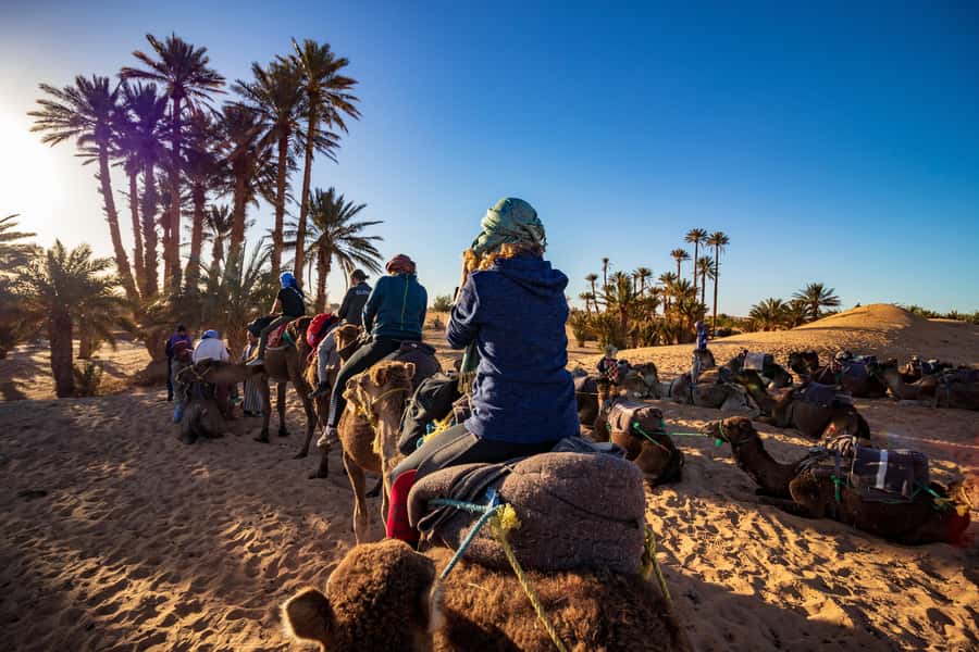 From Casablanca: Day Trip to Marrakech with Camel Ride - Mellah, Bahia Palace, and the Secret Garden: Palace Time Without Too Much Waiting