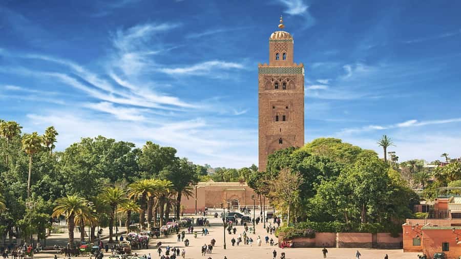 From Casablanca: Day Trip to Marrakech with Camel Ride - Getting There: The Ride, the Scenic Stops, and How Early Helps