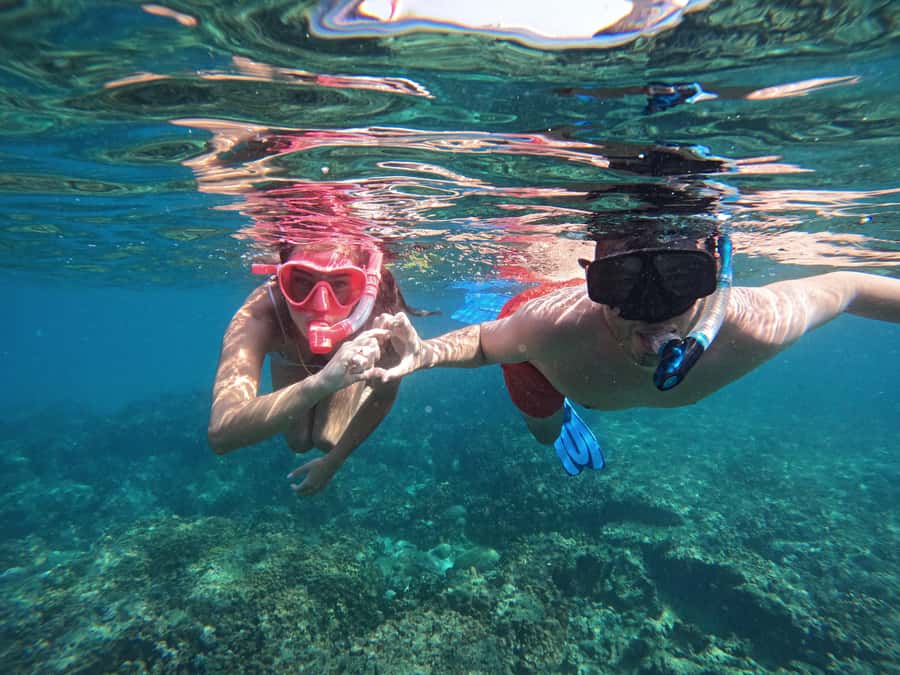 From Dubai: Fujairah Snorkeling with Turtles, Transfer & BBQ - Why Fujairah is worth the day-trip drive from Dubai