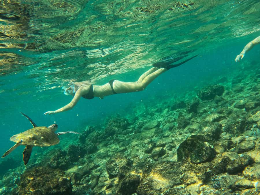 From Dubai: Fujairah Snorkeling with Turtles, Transfer & BBQ - Getting on the water: the 42-foot boat setup