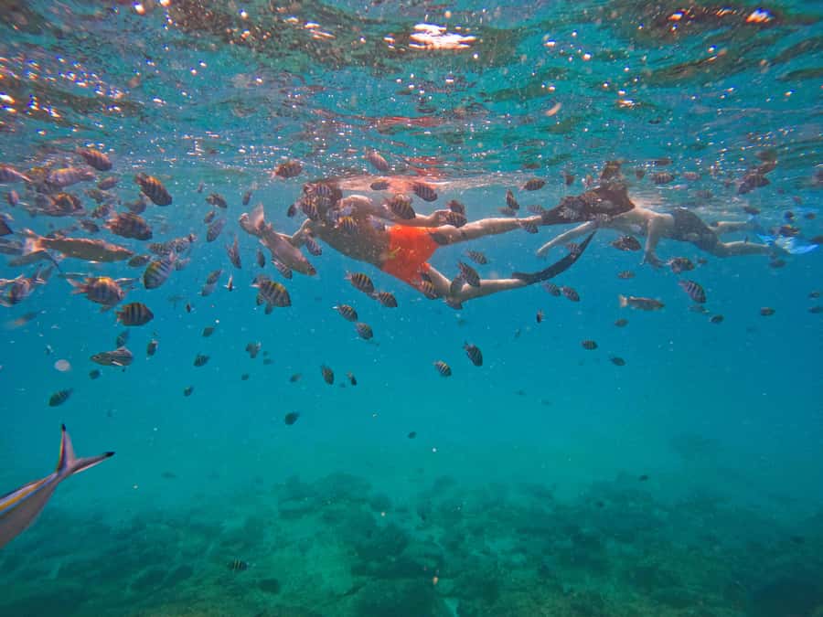From Dubai: Fujairah Snorkeling with Turtles, Transfer & BBQ - Fujairah break: BBQ lunch after the water time