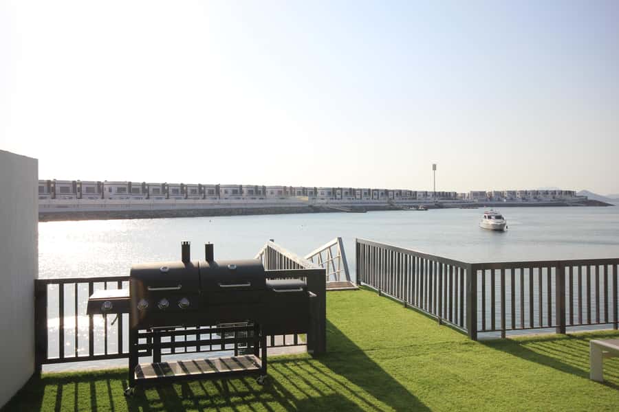 From Dubai: Fujairah Snorkeling with Turtles, Transfer & BBQ - Price and logistics: is $135 good value for this day?