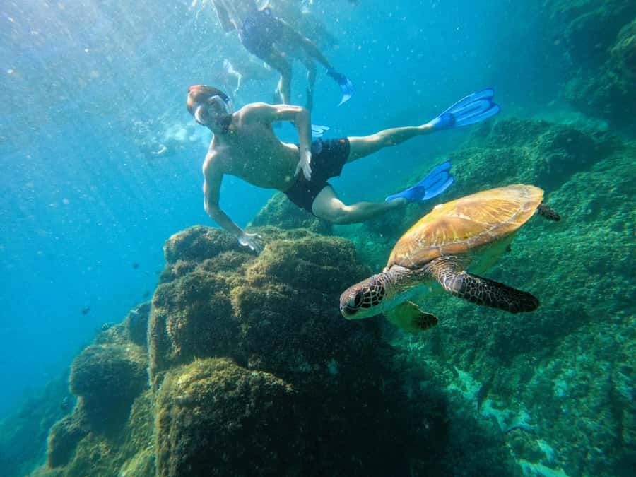 From Dubai: Fujairah Snorkeling with Turtles, Transfer & BBQ - Tips so you feel great before you even hit the water