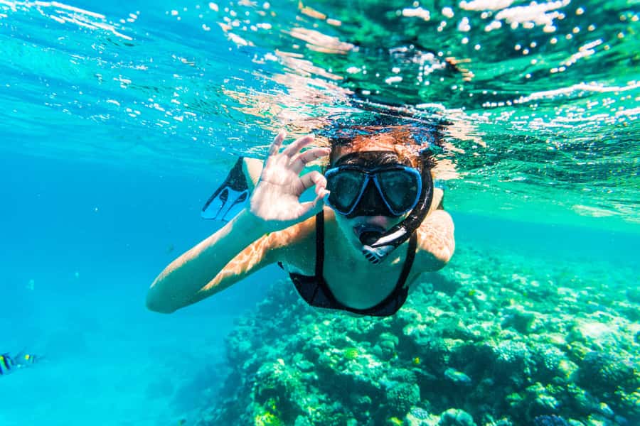From Dubai: Snorkeling Trip to Dibba Al-Fujairah - Key things that make this trip worth your time