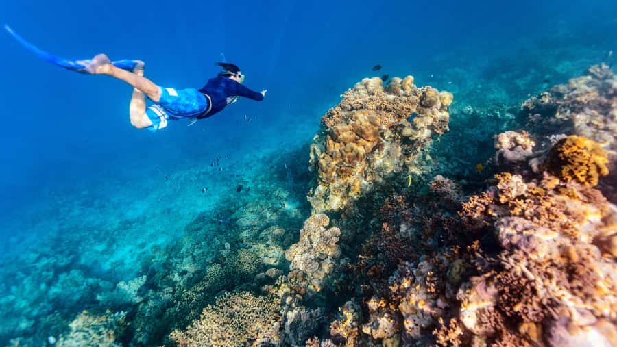 From Dubai: Snorkeling Trip to Dibba Al-Fujairah - Dubai to Dibba Al-Fujairah: why the road trip matters