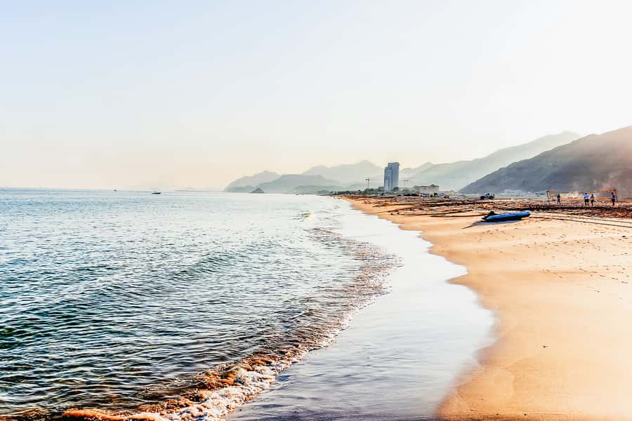 From Dubai: Snorkeling Trip to Dibba Al-Fujairah - Underwater expectations: turtles, black-tip sharks, and fish you can actually see