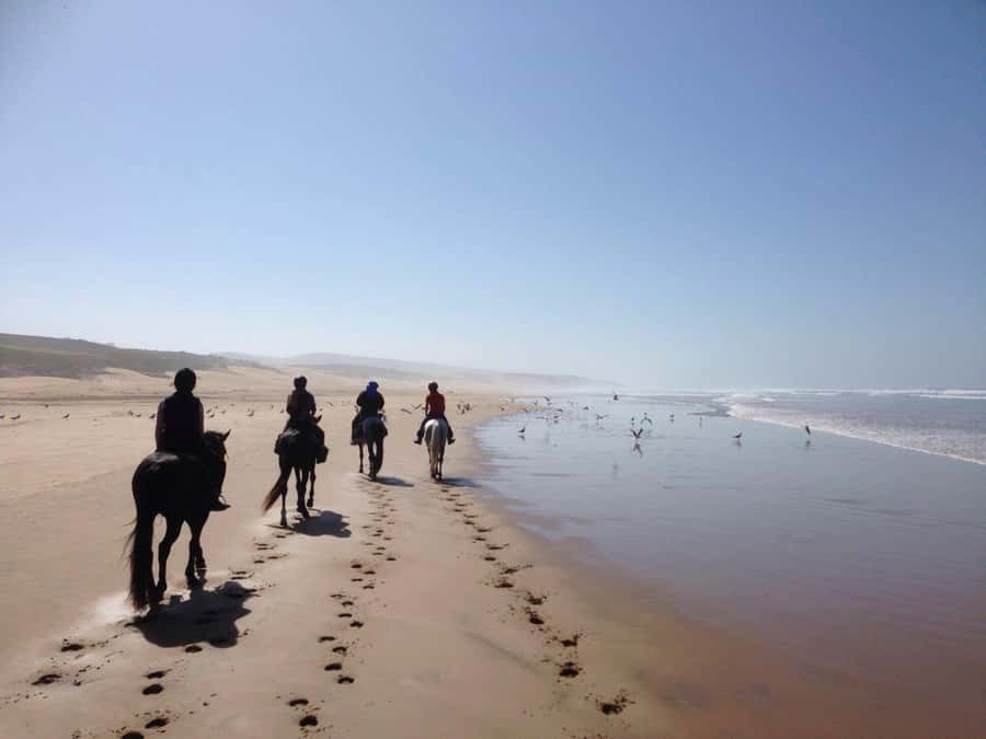 From Essaouira: 1-Hour Horse Ride - Key highlights worth your attention