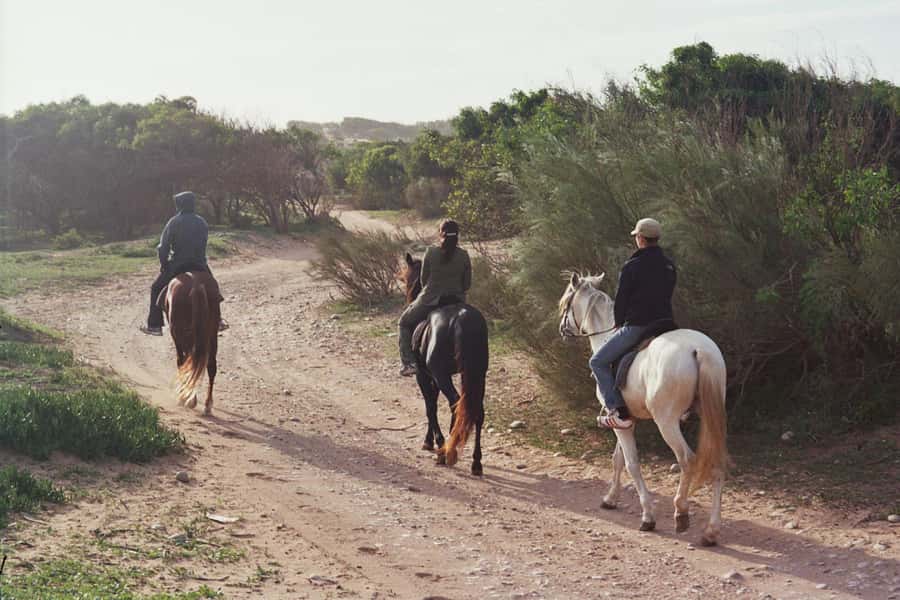 From Essaouira: 1-Hour Horse Ride - Horseback in Essaouira: why it works so well for real vacations
