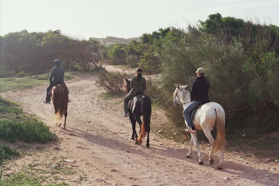 From Essaouira: 1-Hour Horse Ride - The horses and the safety vibe: calm setup, clear guidance