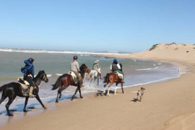 From Essaouira: 1-Hour Horse Ride - Getting to Ranch De Diabat without turning your day into a schedule
