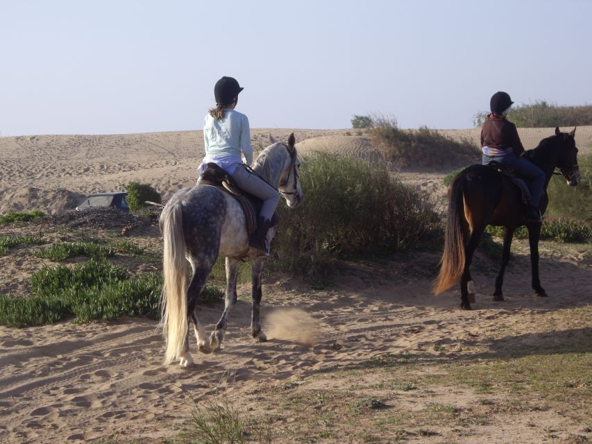 From Essaouira: 1-Hour Horse Ride - Mogador Island and the Portuguese castle views from the sand