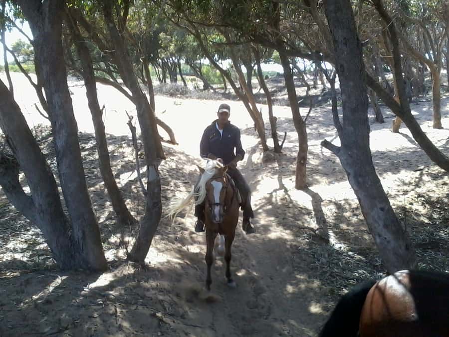 From Essaouira: 1-Hour Horse Ride - Price and value: is $38 fair for a beach horse ride?
