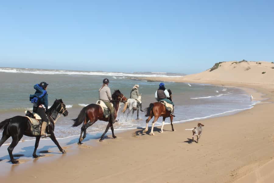 From Essaouira: 1-Hour Horse Ride - Getting to Ranch De Diabat without turning your day into a schedule