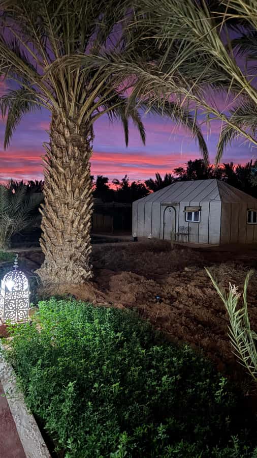 From Fes: 2-Day Desert Tour with Return to Fes or Marrakech - From Fes to Erg Chebbi: why this 2-day version works