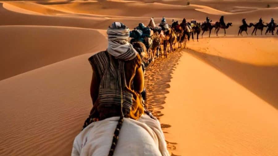 From Fes: 2-Day Merzouga Desert Trip w/Luxury Tent & Dinner - Ifrane and the cedar-forest monkey stop: the Atlas warm-up